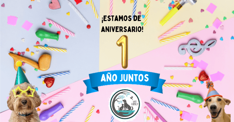 1er Aniversario de Vet Family