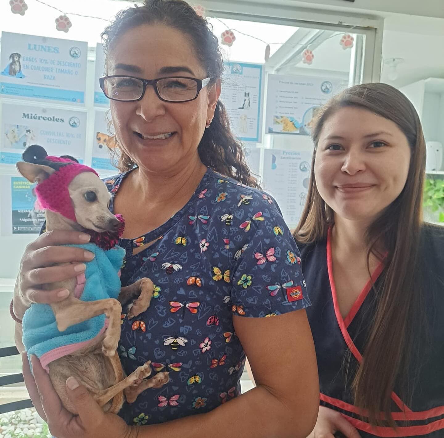 El Renacer de Paloma: Una Historia de Amor, Resiliencia y Cuidado en Vet Family 🌟🐾