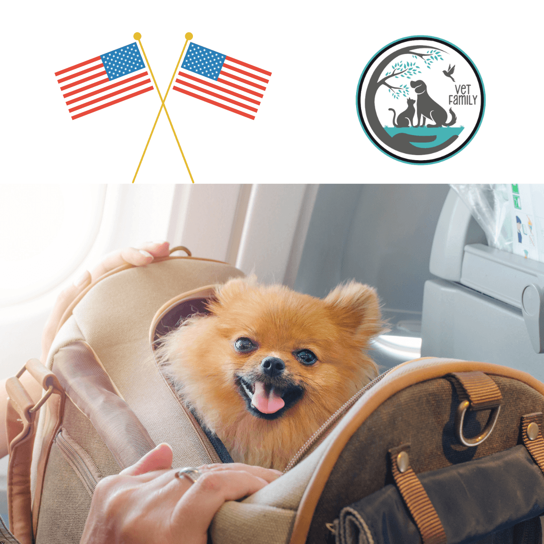 Microchip obligatorio para todos los perros que ingresen a los Estados Unidos
