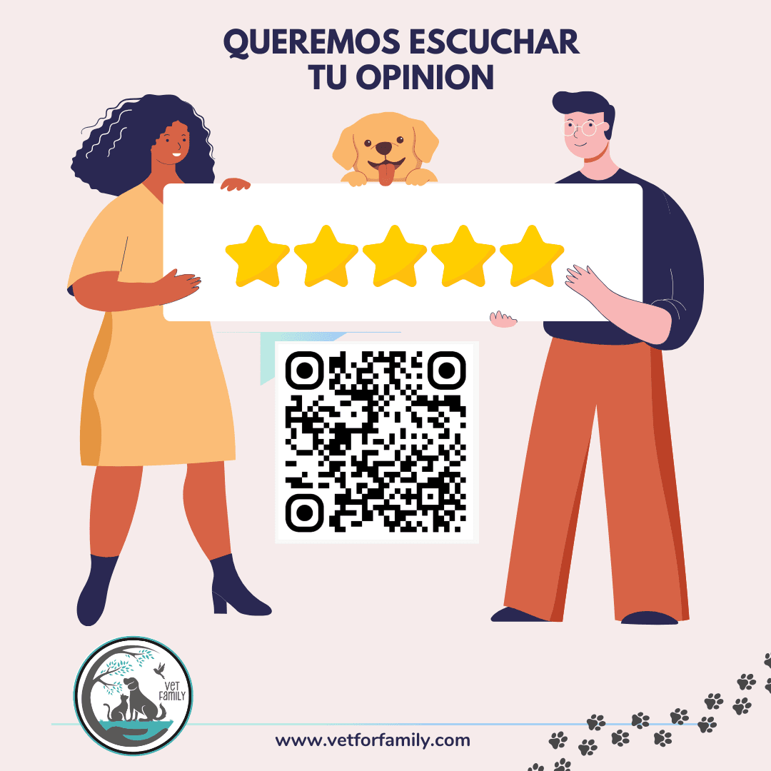 Escríbe una reseña en Google Maps