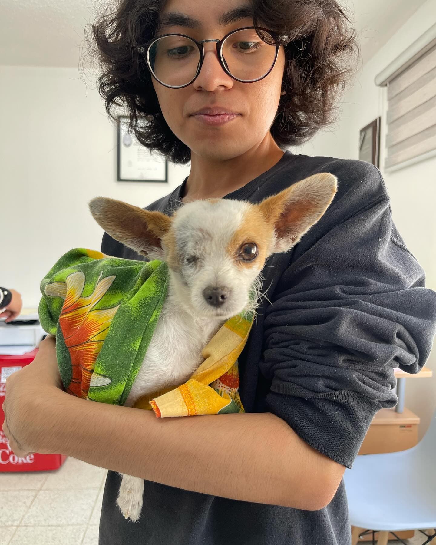 Venciendo la Adversidad con Amor y Atención Veterinaria 🩺🐾💖