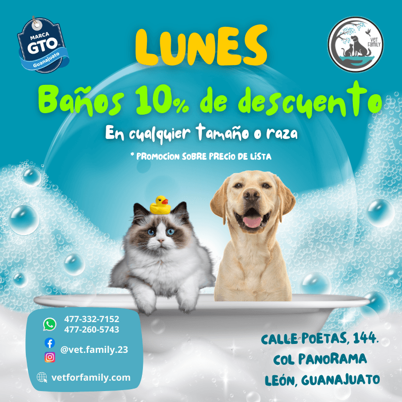 Baños