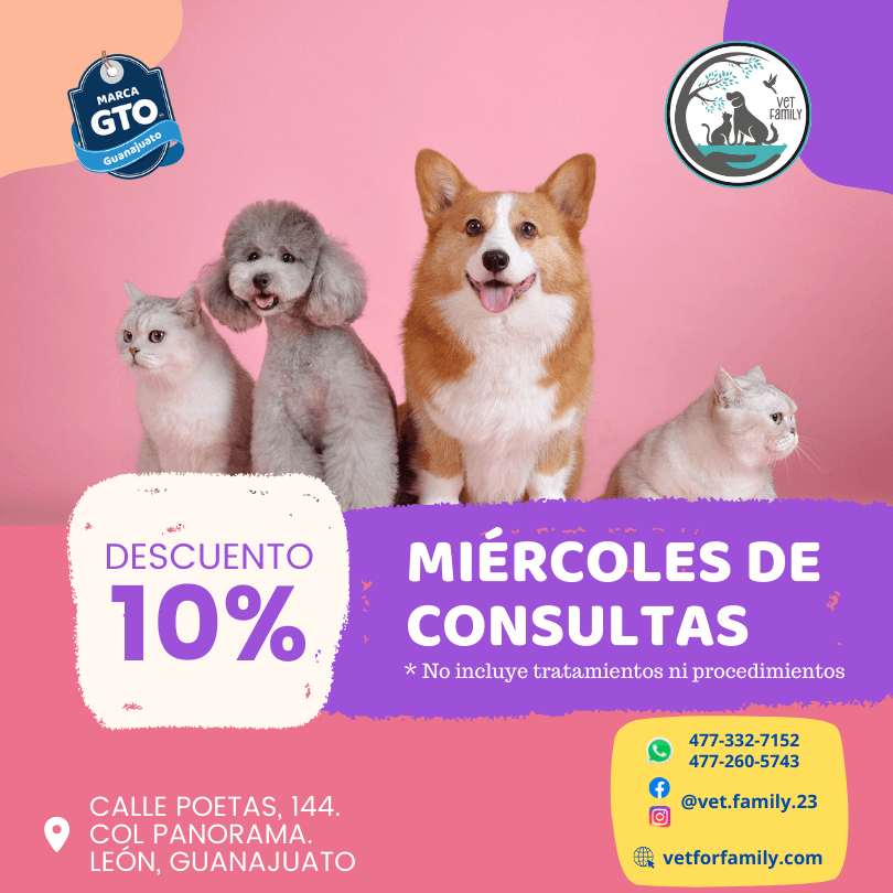 Consultas
