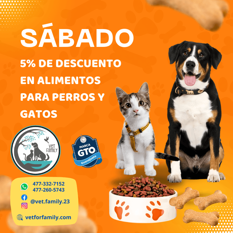 Alimentos para perros y gatos