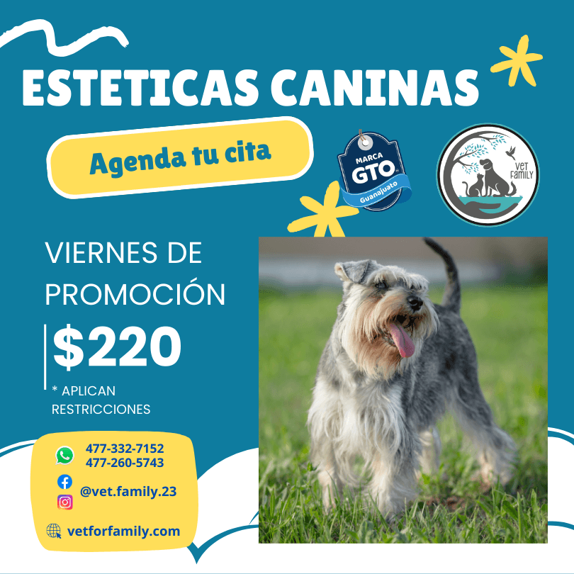 Estéticas Caninas